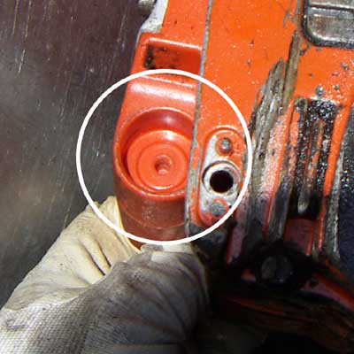 242XP�h�~�S�����t����